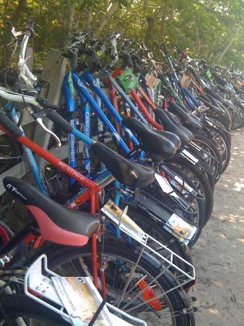 The bikes of Herring Cove